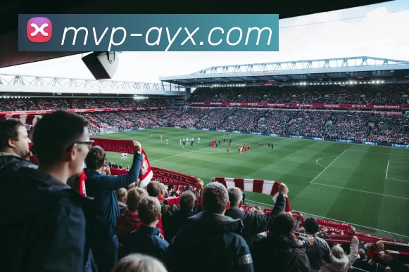 爱游戏APP 高清赛事图